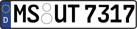 MS-UT7317