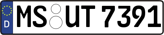 MS-UT7391