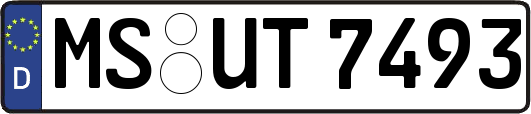 MS-UT7493