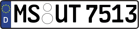 MS-UT7513