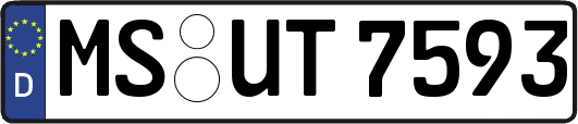 MS-UT7593