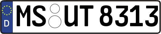 MS-UT8313