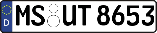 MS-UT8653