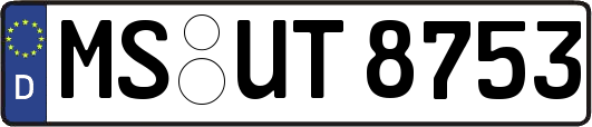 MS-UT8753