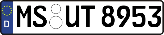 MS-UT8953