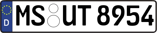 MS-UT8954