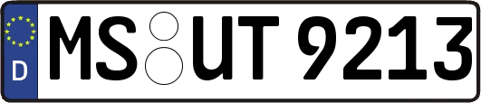 MS-UT9213