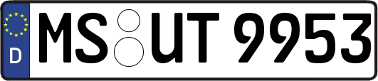MS-UT9953