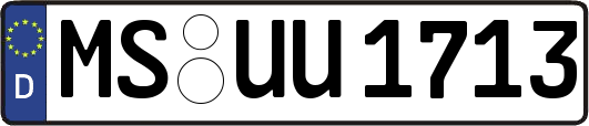 MS-UU1713