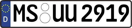 MS-UU2919