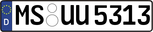 MS-UU5313