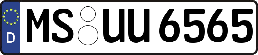 MS-UU6565
