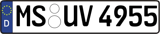 MS-UV4955