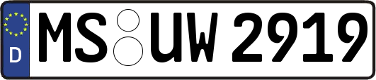 MS-UW2919