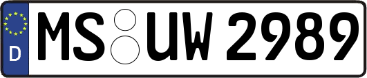 MS-UW2989