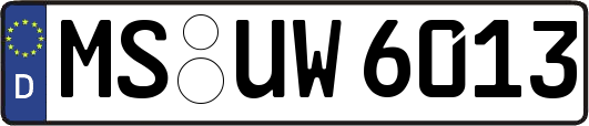 MS-UW6013