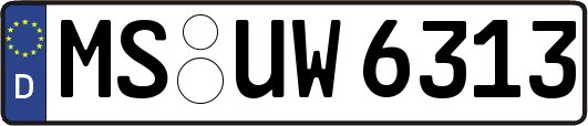 MS-UW6313