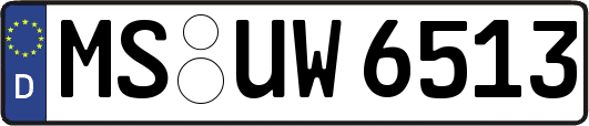 MS-UW6513
