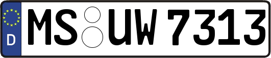 MS-UW7313