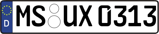MS-UX0313