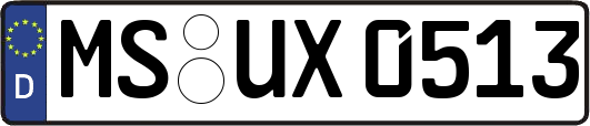 MS-UX0513