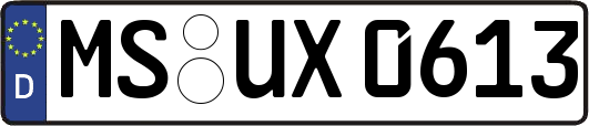 MS-UX0613