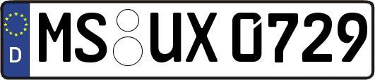 MS-UX0729