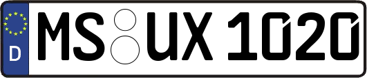 MS-UX1020