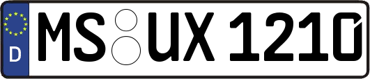 MS-UX1210