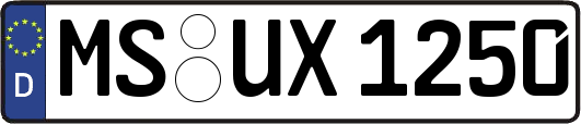 MS-UX1250