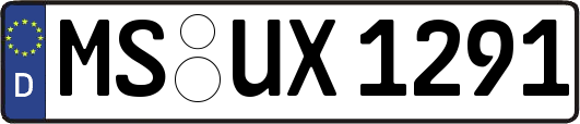 MS-UX1291