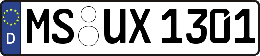 MS-UX1301