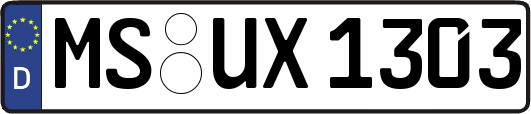 MS-UX1303