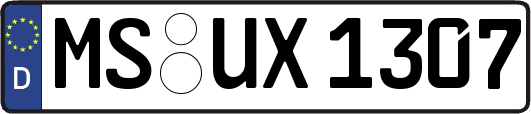 MS-UX1307