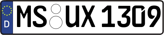 MS-UX1309