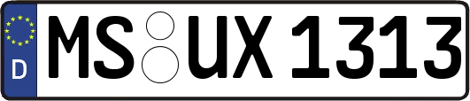 MS-UX1313