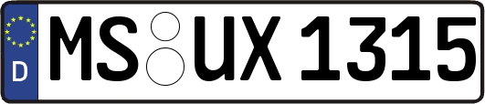 MS-UX1315