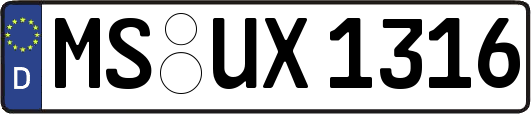 MS-UX1316
