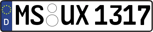 MS-UX1317
