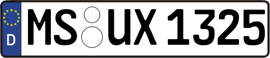 MS-UX1325