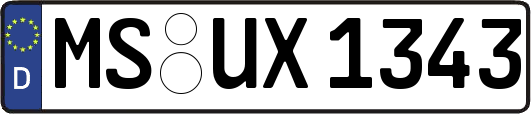 MS-UX1343