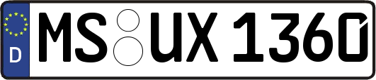 MS-UX1360