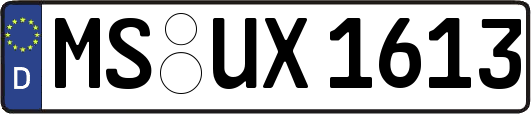 MS-UX1613