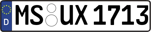 MS-UX1713