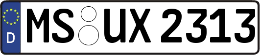 MS-UX2313