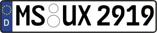 MS-UX2919