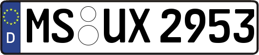 MS-UX2953