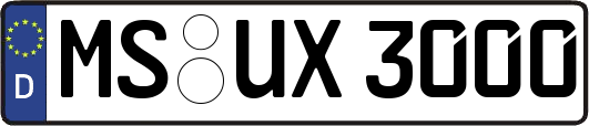 MS-UX3000