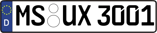 MS-UX3001