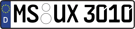 MS-UX3010